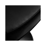 Juuksurisalongi tool Hair System Tru Noir must