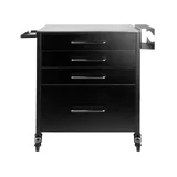 Tattoo Assistant pro tint 702 must