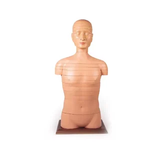 Ketta torso elusuuruses