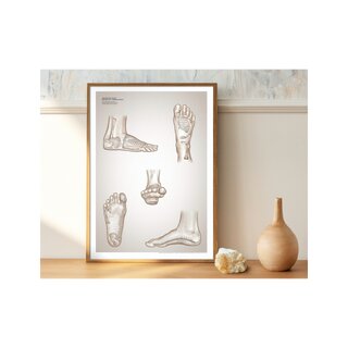 Refleksoloogia poster
