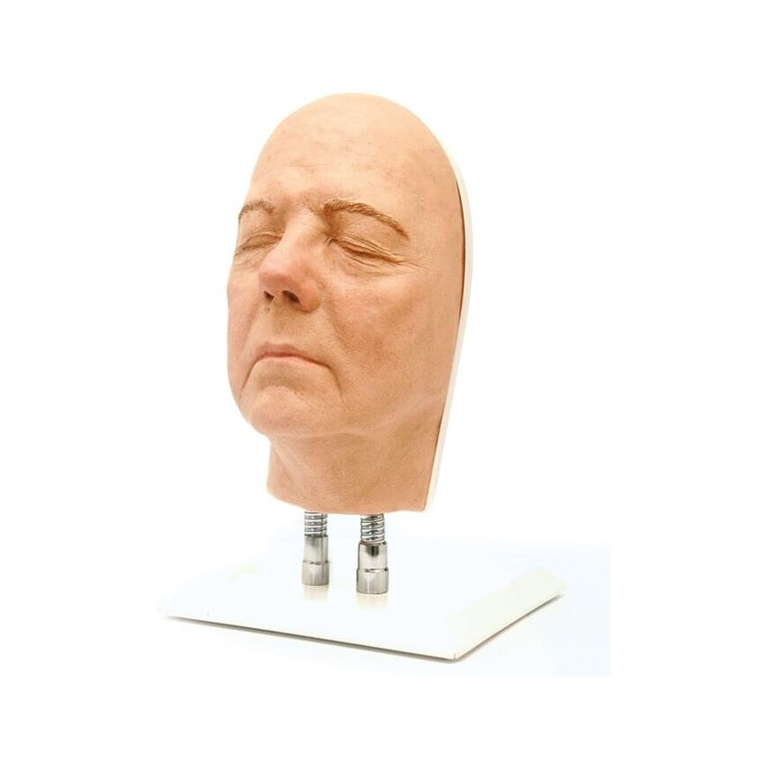 Näosüstide pea, versioon B
