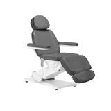 Elektriline ilutool SILLON CLASSIC 3 mootoriga hall