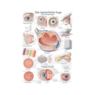 Poster "Inimsilm", 50x70cm