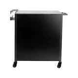 Tattoo Assistant pro tint 702 must