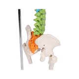 Miniatuurne selg, didaktiline