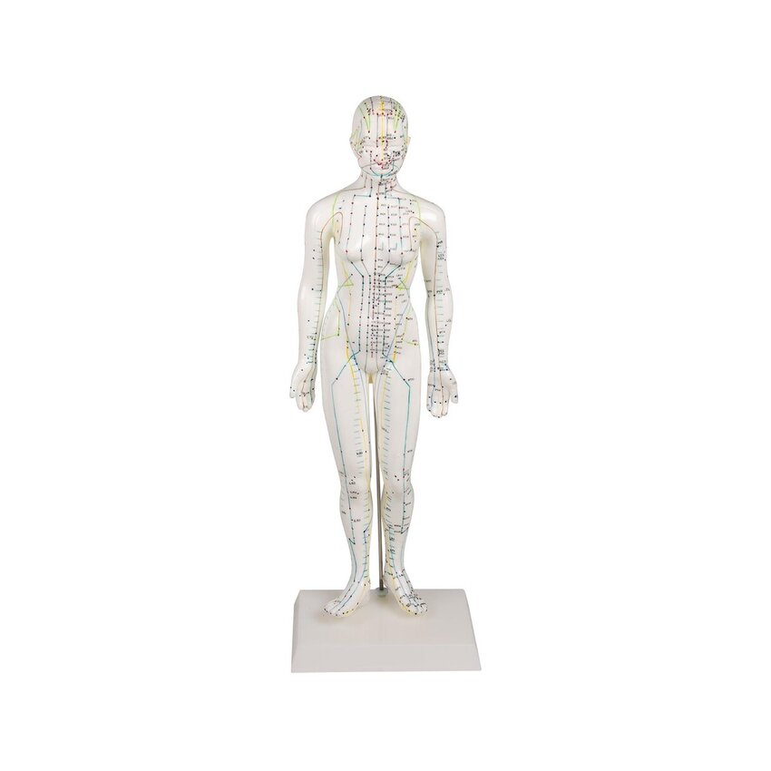 Hiina nõelravifiguur, naine
