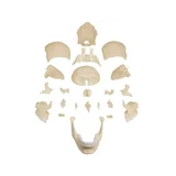 Osteopaatiline kolju mudel, 22 osa, anatoomiline versioon
