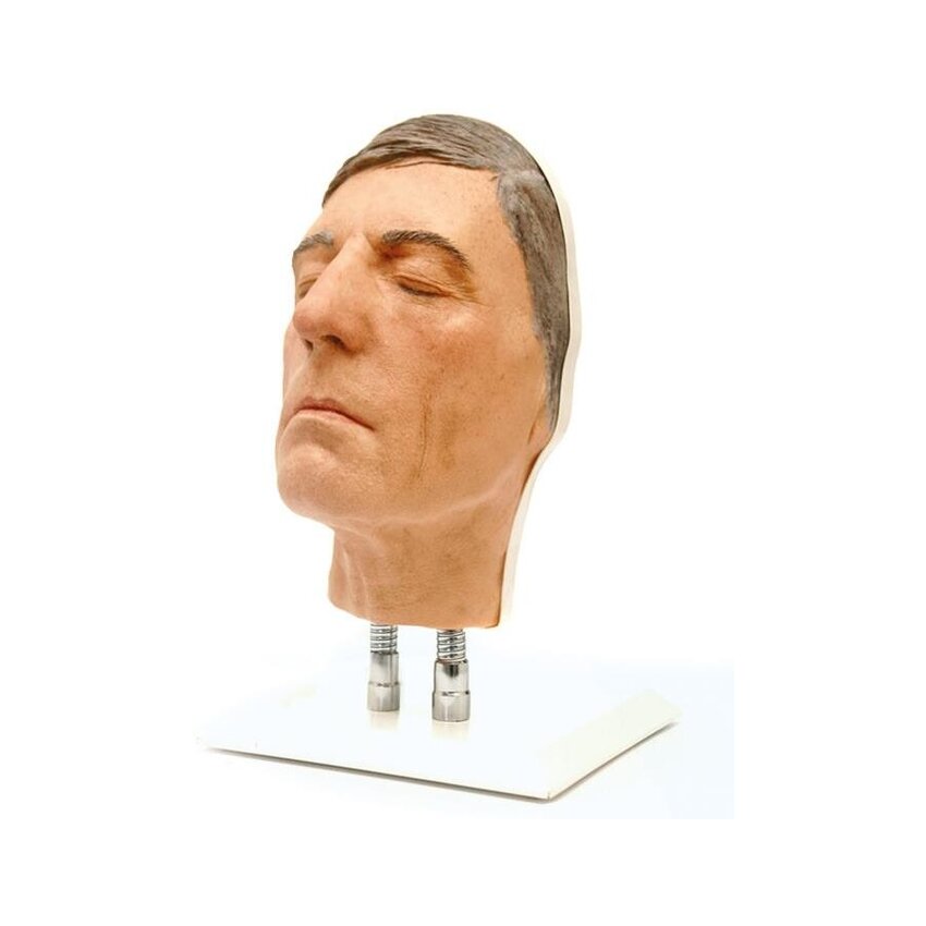 Näosüstide peamudeli treening, versioon D
