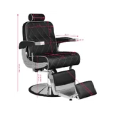 Meeste juuksuri tool HAIR Systems ROYAL X
