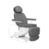Elektriline ilutool SILLON CLASSIC 3 mootoriga hall