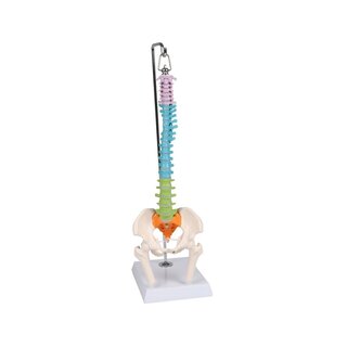 Miniatuurne selg, didaktiline