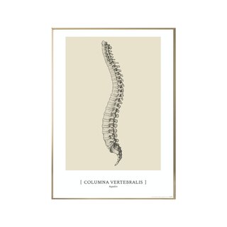 Anatoomilise kunsti plakat - CLASSIC1