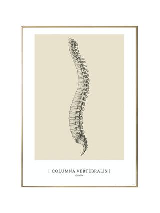 Anatoomilise kunsti plakat - CLASSIC1