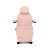 Elektriline protseduuritool SILLON CLASSIC, 3 mootoriga, roosa