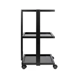 Praktiline käru – Tattoo Assistant PRO INK - 1040 – Must